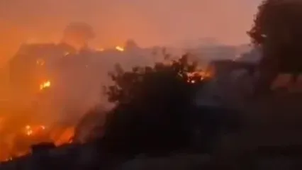سهل‌انگاری مسافران، علت آتش‌سوزی در پارک ملی گلستان اعلام شد
