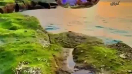 فال حافظ فردا 20 خرداد