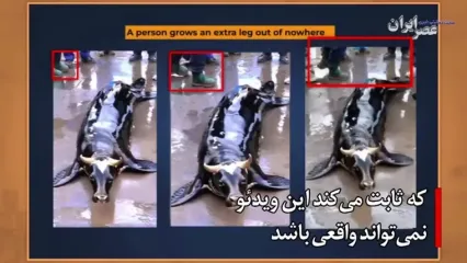 کانگوروی بلیط به دست و ویدئوهای جعلی هوش مصنوعی که جهان را فریب داد
