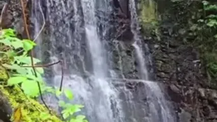 فیلم آبشار دیدنی لونک در طبیعت گیلان