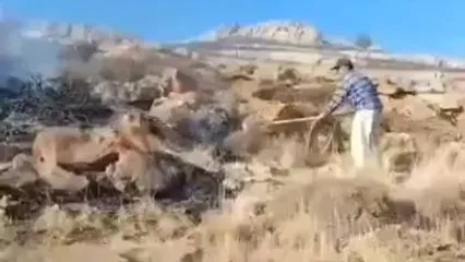 تصاویری از آتش‌سوزی در بخش‌هایی از پارک ملی تندوره
