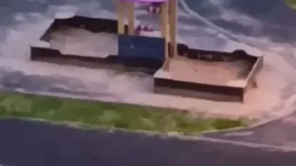 فیلم هجوم گسترده موش‌ها به سن پترزبورگ