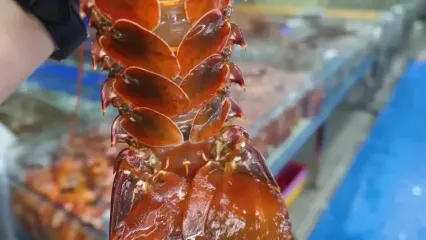 ببینید؛ غذای خیابانی در ژاپن؛ تهیه ساشیمی با صدف غول پیکر در اوکیناوا