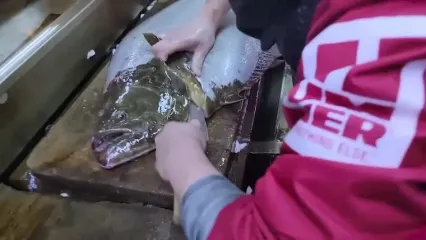ببینید؛ غذای خیابانی در ویتنام؛ برش استادانه ماهی فلووندر زرد برای تهیه ساشیمی در هانوی