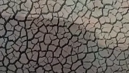دریاچه ارومیه برای اولین بار در تاریخ خشک شد / کارزار درخواست احیای دریاچه ارومیه راه اندازی شد