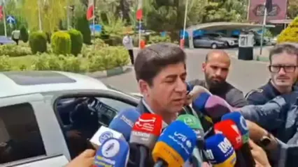 دبیرکل فدراسیون فوتبال: قلعه‌نویی هیچ نقشی در پروندۀ بیرانوند ندارد
