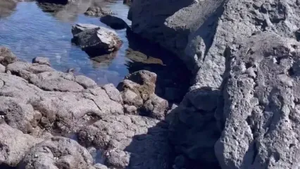 ساحل عجیبی که تمام شن هایش سیاه هستند!