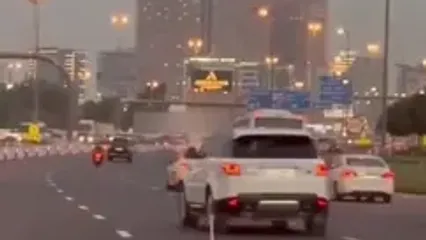 فیلم قدم زدن یک فلامینگو در وسط خیابان‌های دبی