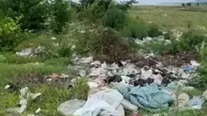 گیلان و مازندران زیر آوار زباله / شمال کشور دیگر تاب انتظار و وعده ندارد