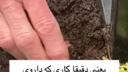 این مدل لمس کردن؛ کلید طلایی رهایی از افسردگی و اضطراب است