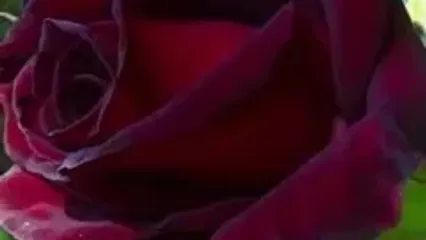 فال روزانه تیر 1404 / 21 تیر ماه