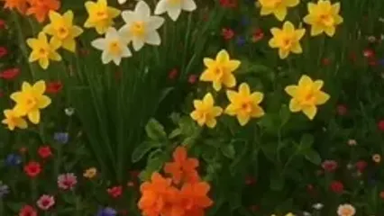 فال و طالع بینی روزانه 18 تیر