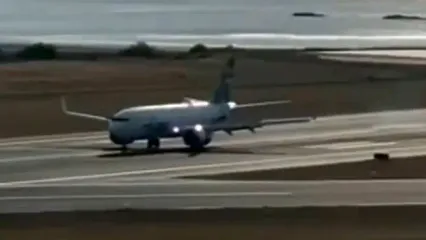 لحظه برخورد بوئینگ 737 با سه راس گوزن!