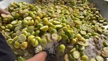 ببینید؛ غذای روستایی در هند؛ تهیه ترشی با 200 کیلو لیمو توسط مادربزرگ روستایی