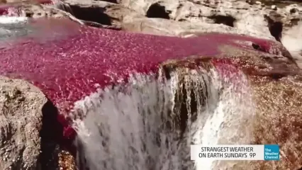 تنها رودخانه رنگین‌کمانی در جهان