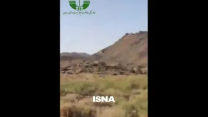 مشاهده همزمان 5 توله یوز در توران/ احتمالا مهشاد و فرزندانش هستند