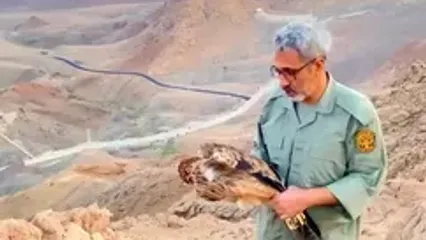 ببینید؛ رهاسازی "عقاب شاهی" در آسمان سمنان