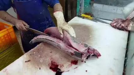 ببینید؛ فرآیند برش زدن و فیله کردن ماهی امبرجک به روش یک ماهی فروش ماهر