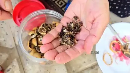 ببینید؛ غذای روستایی در ایران؛ برداشت انجیر و پخت یک خوراک سنتی با پای مرغ