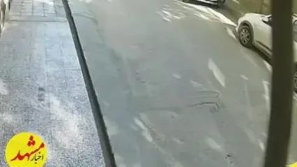 فیلم لحظه سرقت پراید توسط یک زن در خیابان های مشهد