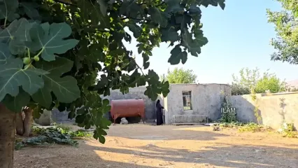 ببینید؛ غذای روستایی در ایران؛ تهیه ماست سنتی و دوغ توسط مادربزرگ ایلامی