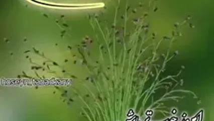 فال ابجد امروز 17 مرداد
