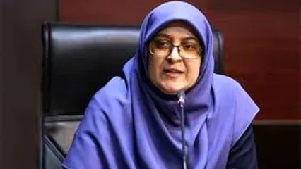 توجیه جنجالی سخنگوی دولت درباره کریدور زنگزور