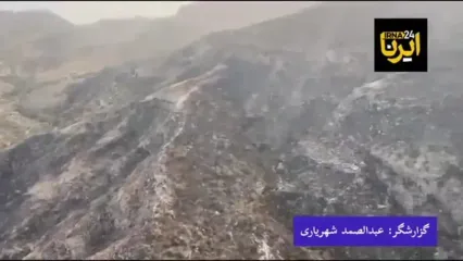 آتش‌سوزی گسترده در ارتفاعات دشتستان مهار شد