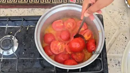 ببینید؛ غذای روستایی در ایلام؛ پخت غذا با بادمجان و تهیه نان ساجی