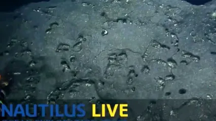 کشف یک جاده آجری زرد در عمق ۳هزار متری اقیانوس!