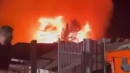 ببینید؛ آتش یونان به زادگاه شاعر افسانه ای رسید!