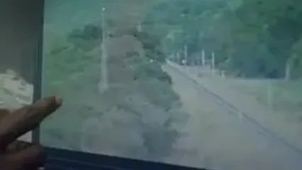 ببینید؛ استفاده از هوش مصنوعی برای نجات جان فیل‌ها