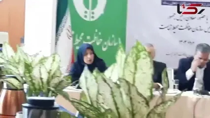سازمان محیط زیست: هدف ما کاهش یا حذف کامل مازوت‌سوزی در نیروگاه‌هاست