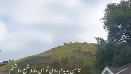 نگاهی به چیدمان کاخ سفید پریچهر قنبری بعد جدایی از شهاب حسینی/ شیشه دکوراتیو درب ورودی، کتابخونه بزرگ، سنبل عشق، رومیزی فرانسوی، تابلو دیواری کوبیسم، لوستر شاخه ای و...