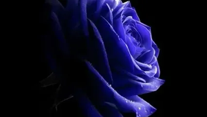 فال ابجد 14 مرداد