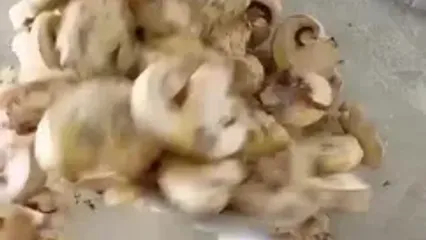 غذایی خوشمزه تنها با قارچ