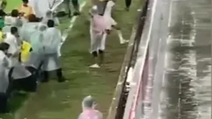 شادی گل احمقانه