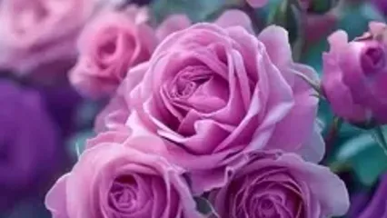 فال حافظ 26 مرداد