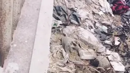 گرمای بندرعباس و بوی زباله؛ ناکامی مدیریت شهری در پاکیزگی شهر