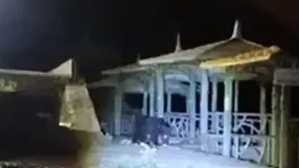 دردسر وابستگی خرس های قهوه ای سبلان به غذای کوهنوردان / حمله خرس ها به مناطق مسکونی و عشایر، نتیجه دخالت انسانی در طبیعت