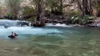 فال و طالع بینی امروز 8 شهریور