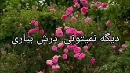 فال ابجد 23 مرداد
