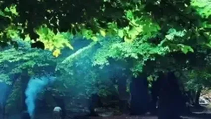 فیلم طبیعت گسترده ساری در شمال کشور
