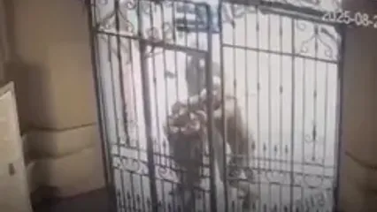 فیلم سوتی عجیب مأموران نظام وظیفه اوکراین / ناتوانی در باز کردن در، فرصت فرار ساخت