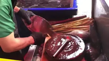 ببینید؛ غذای خیابانی در تایلند؛ کباب کردن ماهی پرطرفدار تیلاپیا در بانکوک
