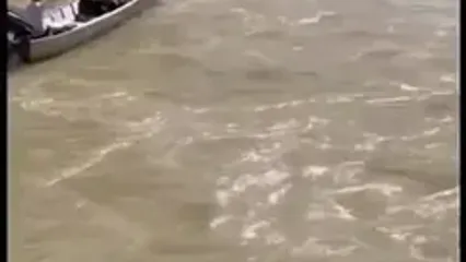 صید مرگبار ماهی با برق در خوزستان / کمبود نیرو و تجهیزات سازمان محیط زیست، مانع مقابله با این نوع صید