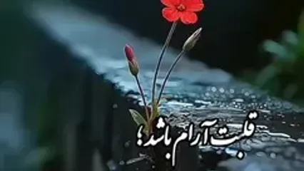 فال ابجد محشر 24 مرداد