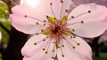 فال ابجد 26 مرداد