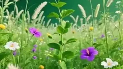 نیت کن و فال حافظ 19 مرداد را بخوان