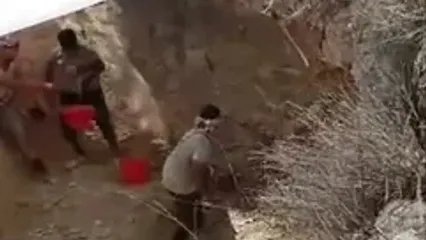 نه تنها انسان‌ها که حیات وحش جنوب کشور تشنه‌اند / بحران بی‌آبی در جنوب و مرکز ایران دیگر هشدار نیست، واقعیت امروز است